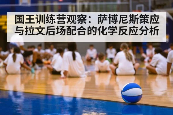 国王训练营观察：萨博尼斯策应与拉文后场配合的化学反应分析 | kaiyun
